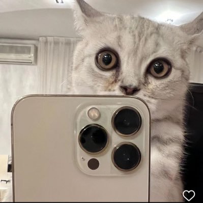 SardarSardarsi2's profile picture. 