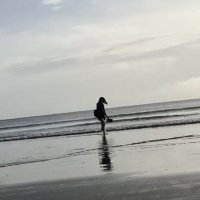 スイ (@0r0ct) 's Twitter Profile