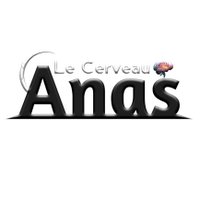 Le Cerveau Anas (@anas_mourtada) 's Twitter Profile