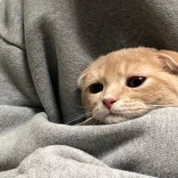 Vava (@parjimapj) 's Twitter Profile