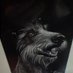 Dana Adams (@greytcompanions) Twitter profile photo Dana Adams (@greytcompanions) Twitter profile photo