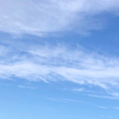 OpTengtiankong's profile picture. 