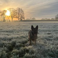 PD Jinx & RPD Duke ππ (@amydeemo) 's Twitter Profile