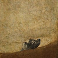 Hugh Jorgan (@piii1253674) 's Twitter Profile
