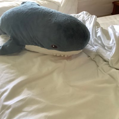 someperson79918's profile picture. 