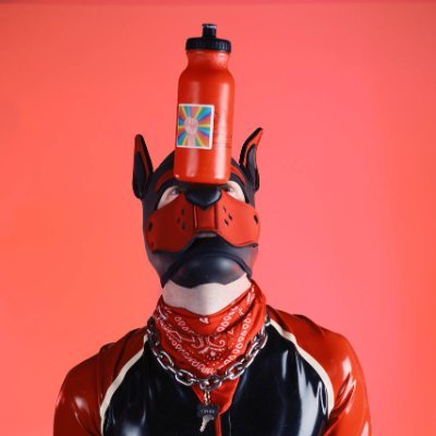 Pup Cipher Profile