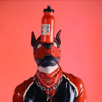 Pup Cipher (@pupciphermelb) 's Twitter Profile Photo Pup Cipher (@pupciphermelb) 's Twitter Profile Photo