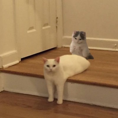 Dugdig01's profile picture.