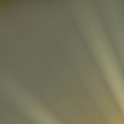 CoolManX01's profile picture. 