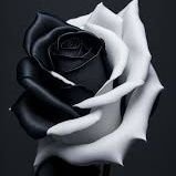 ❤🖤❤💜❤💯💜❤💯💜❤💯💯🖤❤💯🖤💯🖤💯🖤💯🖤❤💯❤💯🤍💜💯💯🤍💯🤍💯💜❤💯🤍❤🤎❤🤎💯🖤💯💙💜🧡🤎🌹💯💜❤❤❤💯💯💯💯💯