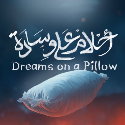 Rasheed Abueideh- Crowdfunding Dreams on a Pillow Profile