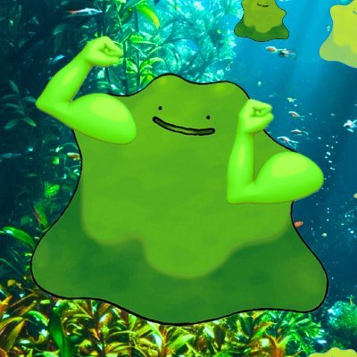 Chonkus is your #1 Algae-based DeSci Memecoin using Biotech AI to Sink Climate Change🦾 (no token released in relation to this project)