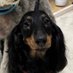LeeChang (@kellyleechang) Twitter profile photo LeeChang (@kellyleechang) Twitter profile photo
