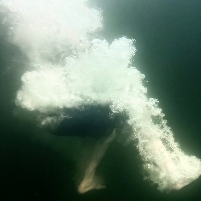 AvaChisling's profile picture. Lawyer who also writes about pop culture+tech+law, creates ad campaigns for 50+ brands and has perhaps won an award or two. 👉 https://t.co/4CsnSbD8Md