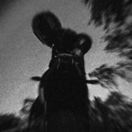 daigoxr's profile picture. Dum vita est, spes est ツ