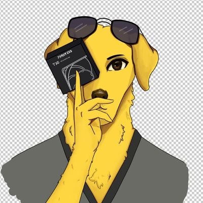 Perfil dedicado à falar de hardware
dono do canal Dogão Hardware