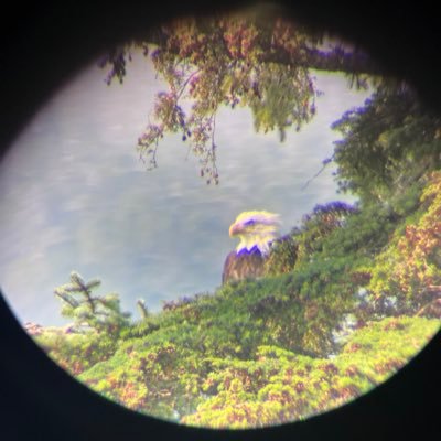 DChexs's profile picture. Striving to be the disciple that He would want - Open to any good faith discussion (none in bad faith)  - Pronatalist
