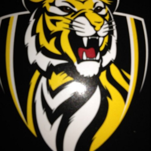 army_tiger's profile picture. Tragic Richmond fan.