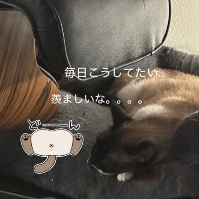 senior ai research engineer | vibe researcher | CoTッター| e/acc | AI研究開発エンジニア・勉強&技術アカ | daily: @snfkserendipity
