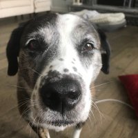 James Wheeler, PE (@jameswheelerpe) 's Twitter Profile