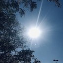 Anthony Bartley - @AnthonyBar12611 - Twitter