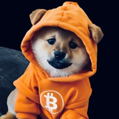 Built for $Dog Community, Powered by Bitcoin & Solana. No platform token. https://t.co/EtwEy9It8V