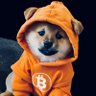 runesdogapp's profile picture. Built for $Dog Community, Powered by Bitcoin & Solana. No platform token. https://t.co/EtwEy9It8V