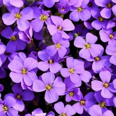 Na__1239's profile picture. أستغفرالله العظيم وإتوب إليه ،.,!🤍