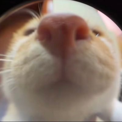 jjeoleos's profile picture. 