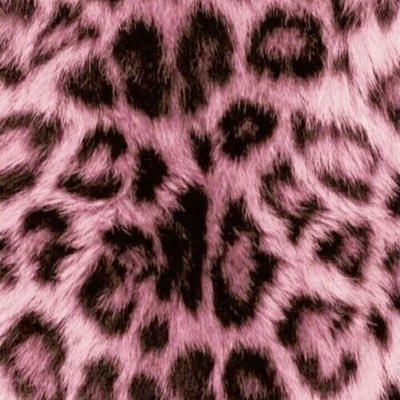 Eさんのプロフィール画像