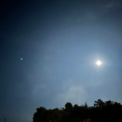 gauiwuoeno123's profile picture. 人生1.167週目