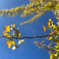 sato (@sato00ai0) 's Twitter Profile Photo