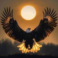 Hesham Katap (@heshamkaap) 's Twitter Profile