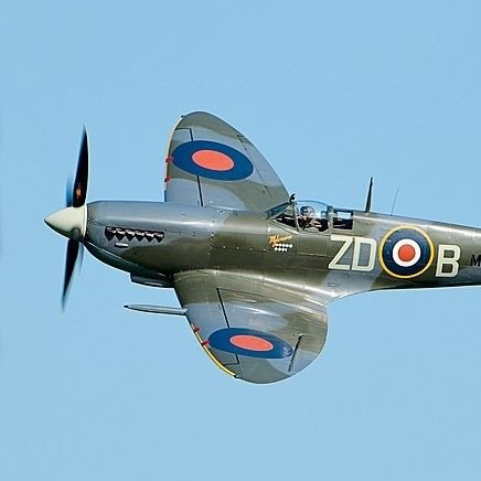 markblick2's profile picture. Nothing