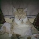 paul sidwell - @paulsidwell1 - Twitter