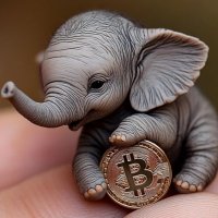 M B (@dumbobit63) 's Twitter Profile