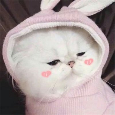 @BTS_twt ONLY : 7 สตรีมและอวยวงเบอร์ 1 วงกูกลับมาละคร่าาา 😘