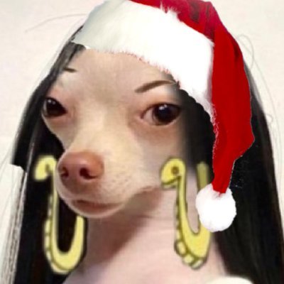 Lavendergulum's profile picture. 