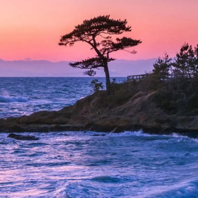 AngelaR27886939's profile picture. 💉😷| #VOTEWOKE | #PROUDRESISTER | #PRO-CHOICE | True ✝️ | 🏳️‍🌈Welcome 💙 | NO MAGATS| WILL BLOCK DMS=🚫