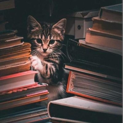 GulInAction's profile picture. 