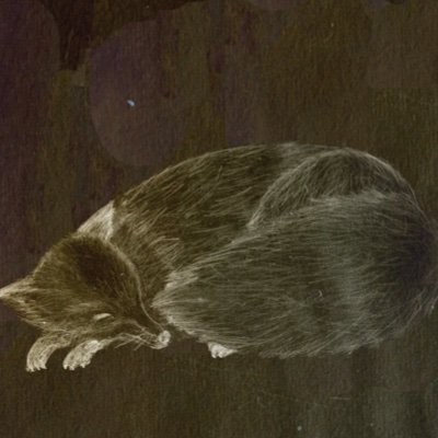 TOMIOKA1486739's profile picture. 🇺🇦🇨🇦 #NAFO #FELLA (❤️ u fury fkrs 🤣) Slava Ukraini! Older Wiser (?) Swearier “If there is a God, He will have to beg my forgiveness.” 🇺🇦👊