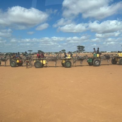 senjuur's profile picture. Laws must be short, as there is trickery in length.”