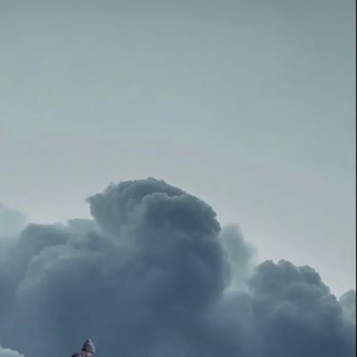 2020_survivor2's profile picture. A Living Thang!🤍