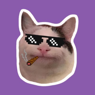 StylishDegen's profile picture. Private group: dm me to join