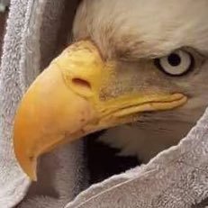 humitchaky45465's profile picture. 🌟 Angela Woodruff | Loves 🌟 📢 Humor| positive| Political genius / Current Events Reality tv| 🏋🏽‍♀️Fitness Queen | 🏙️ ATL-based | don’t like liars 🫠