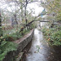 Byline Times Podcast (@papalog274281) 's Twitter Profile
