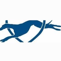 Greyhound Action Ireland (@actiongrey1) 's Twitter Profile Photo Greyhound Action Ireland (@actiongrey1) 's Twitter Profile Photo