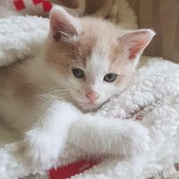 LADY ANN (@anniecshandbag) 's Twitter Profile