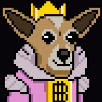 Sanzio $DOG (@sanzioballack) 's Twitter Profile Photo Sanzio $DOG (@sanzioballack) 's Twitter Profile Photo