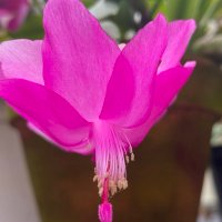 Bill Evans (@npkveg) 's Twitter Profile Photo Bill Evans (@npkveg) 's Twitter Profile Photo